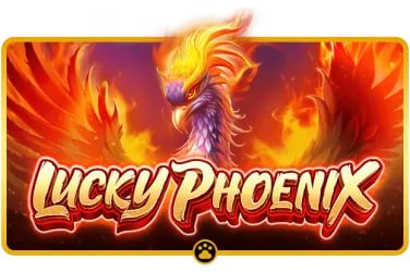 79 win bet